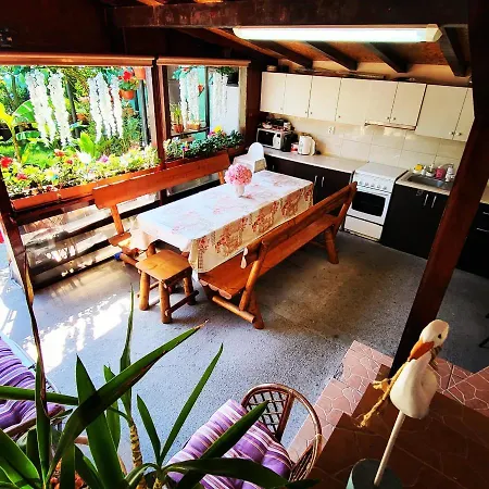 Guest house Vila Draghici