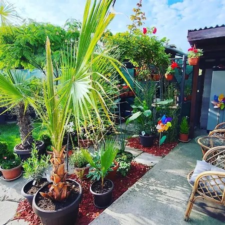Guest house Vila Draghici